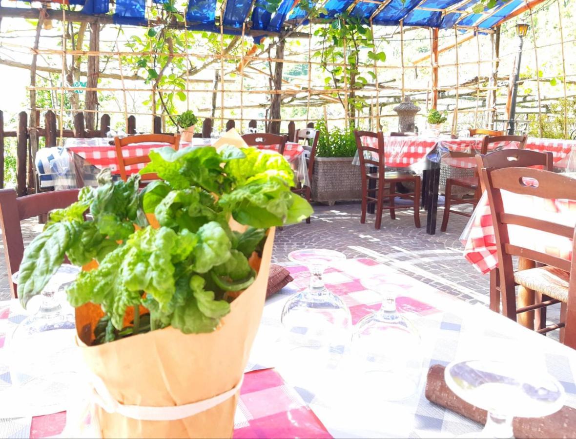 Agriturismo Il Pettirosso Agerola Luaran gambar